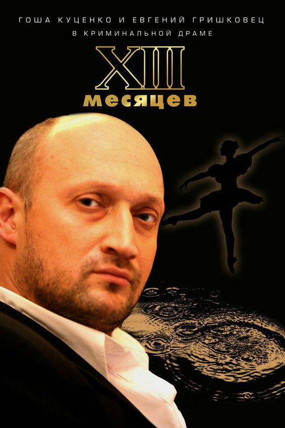 Тринадцать месяцев (2008) постер